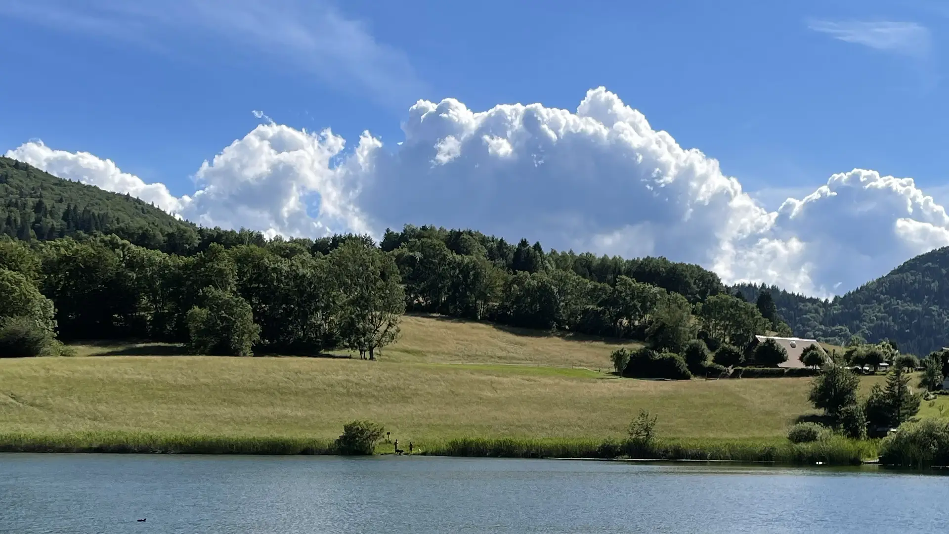 foret lac naturopathe colmar frederique dubois 1080