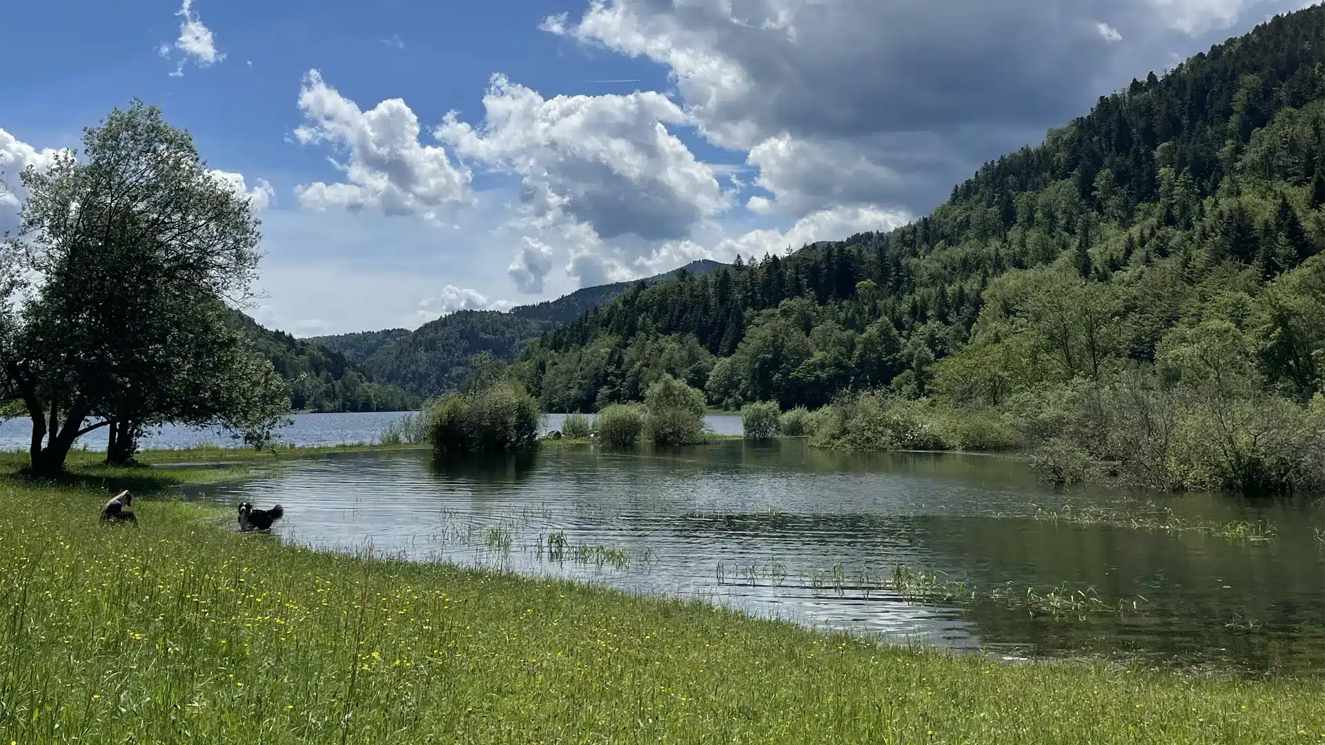 foret lac alsace naturopathe colmar frederique dubois 1080