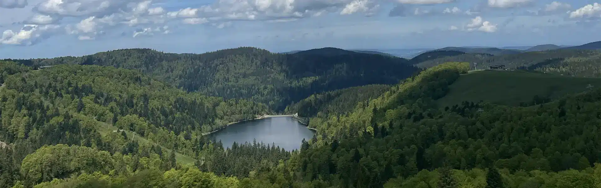 foret lac alsace naturopathe colmar frederique dubois